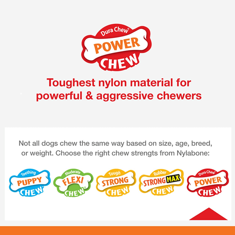 Nylabone Power Chew Textured Bone Toy for Dogs (Brown) image 7