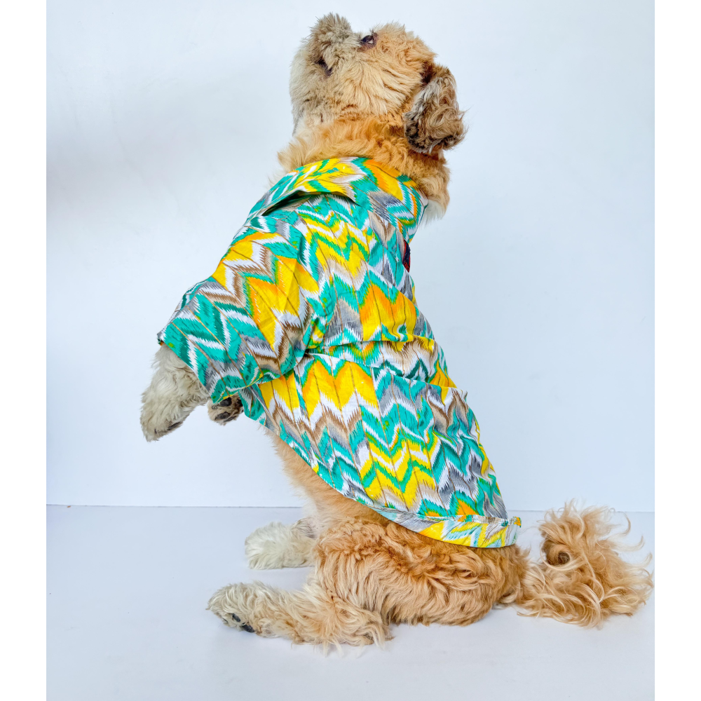 Pawgypets Zig Zag Kurta for Dogs and Cats (Green) image 4