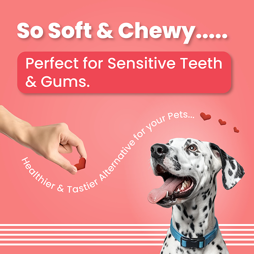 Bark Out Loud Valentine's Special Red Heart Dog Treat image 5