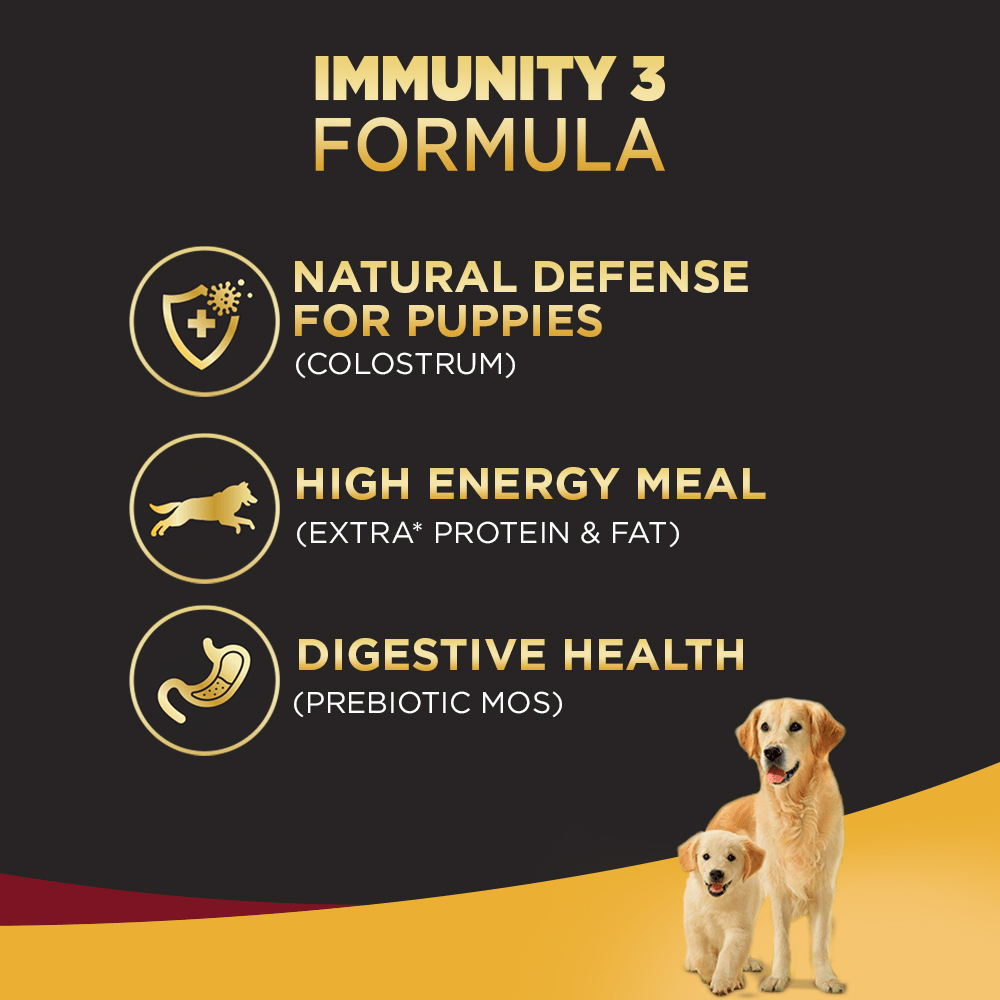 Pedigree PRO Expert Nutrition Lactating/Pregnant Mother & Puppy Starter Large Breed Dog Dry and Chicken Chunks in Gravy Puppy Wet Food Combo image 7