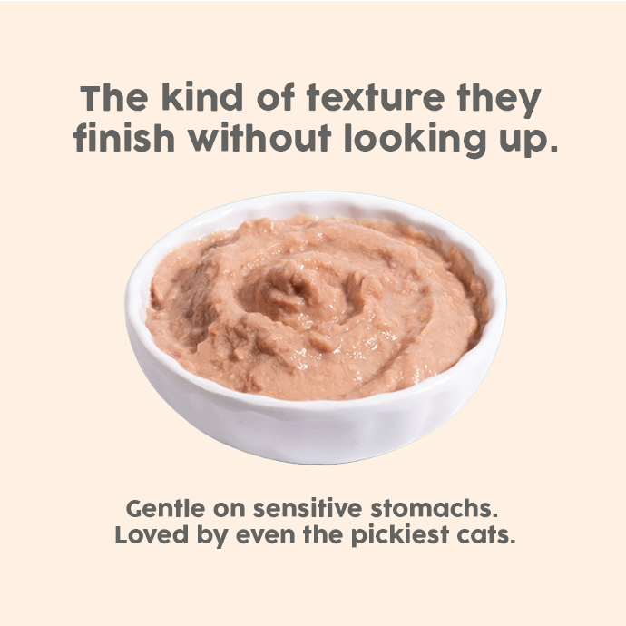 Benny's Bowl Tuna Fish & Chicken Mousse Wet Food for Cats image 10