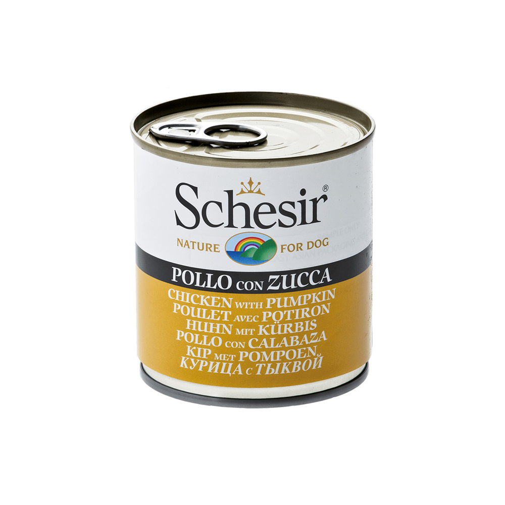 Schesir Chicken & Rice with Pumpkin in Jelly Dog Wet Food