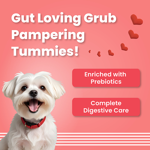 Bark Out Loud Valentine's Special Red Heart Dog Treat image 3
