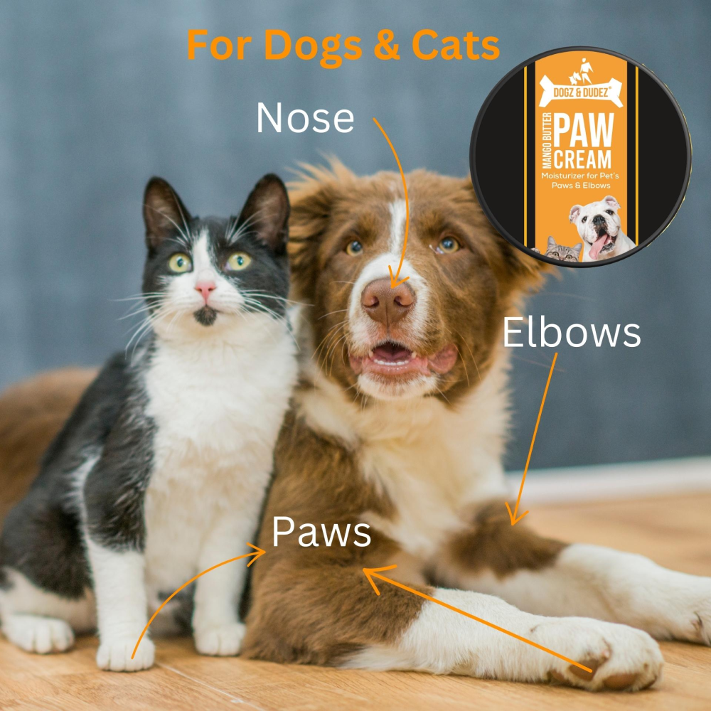 DOGZ & DUDEZ Mango Butter Paw Cream for Dogs and Cats image 5