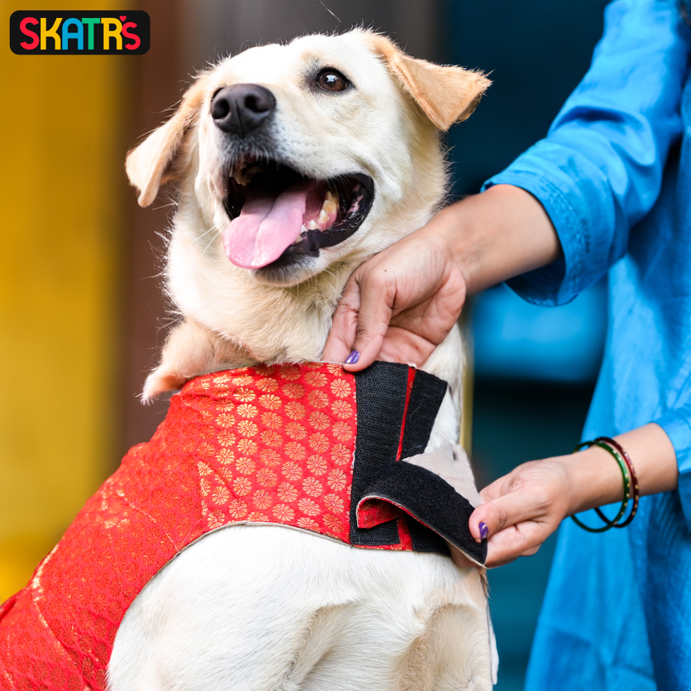 Skatrs Brocade Gold Printed Dress for Dogs and Cats (Red) image 4