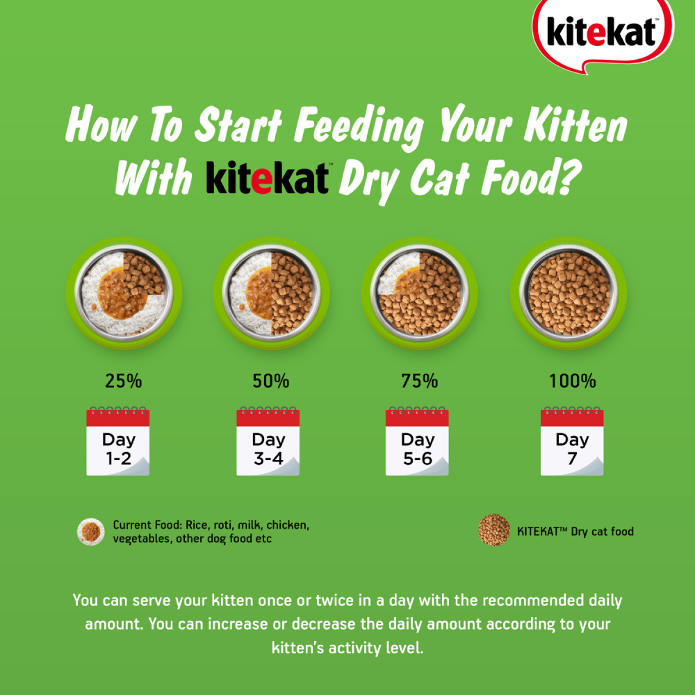 Kitekat Ocean Fish Kitten Dry Food image 4