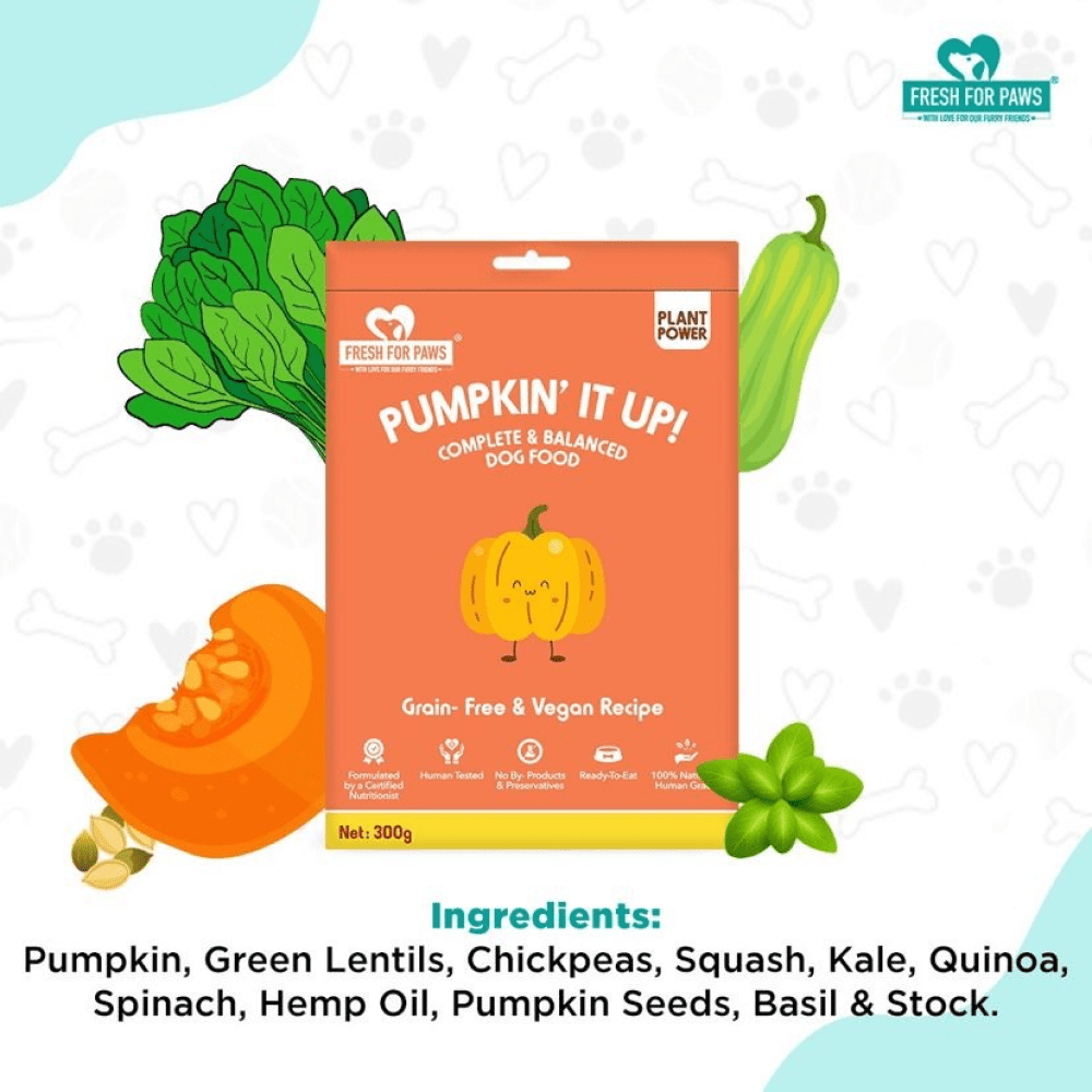 Fresh For Paws Pumpkin It Up Dog Wet Food (300g) image 5