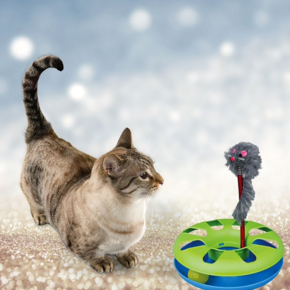 Trixie Crazy Circle with Plush Mouse Toy for Cats (Green/Blue) image 3