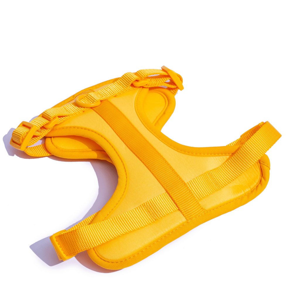 Furry & Co Bold Harness for Dogs (Mango) image 2