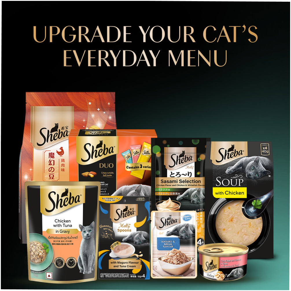 Sheba Chicken Loaf Rich Premium Kitten (2 to 12 Months) Fine Cat Wet Food image 8