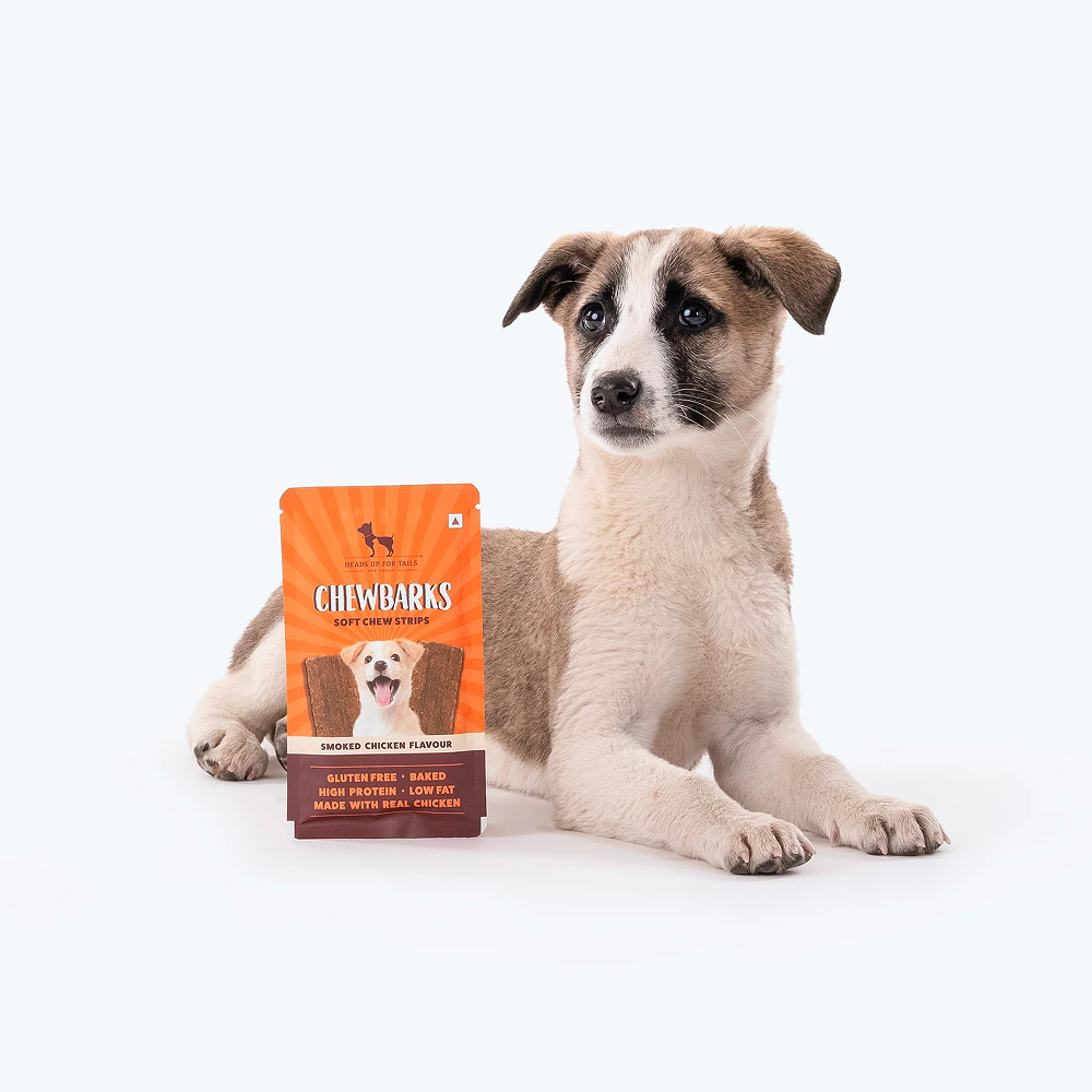 HUFT Chewbarks Gluten Free Smoked Chicken Soft Chew Strips Dog Treats image 8