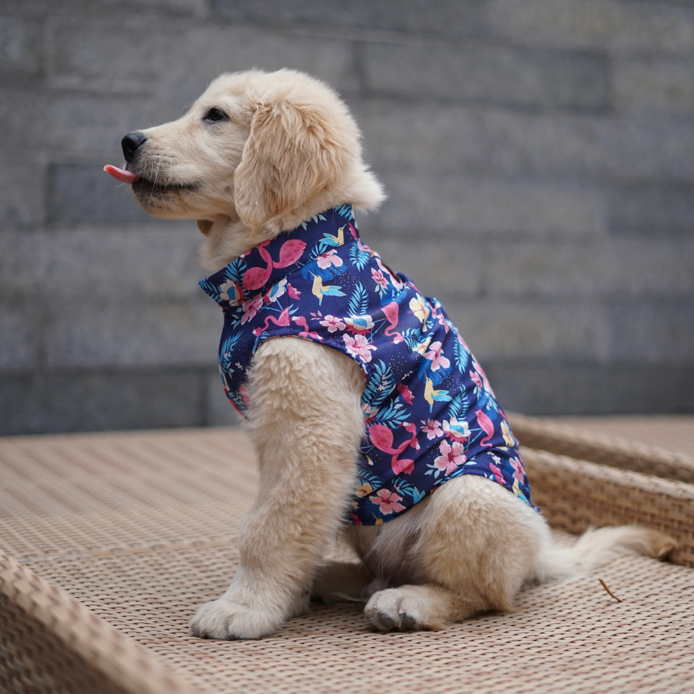 Pawgypets Hawaiian Flamingo Sando for Dogs (Navy Blue) image 2