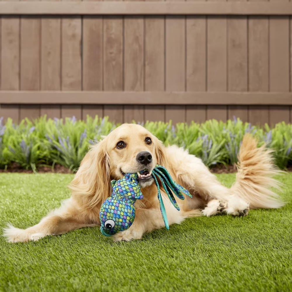 Kong Wubba Finz Toy for Dogs (Blue) | For Medium Chewers image 6
