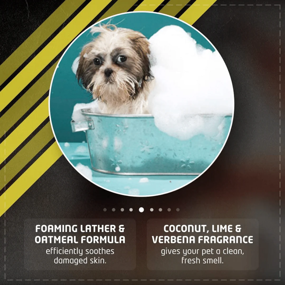 Wahl No Rinse Oatmeal Shampoo for Dogs image 3