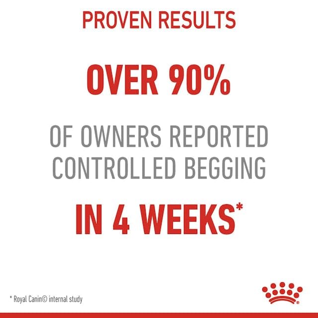 Royal Canin Skin & Hair Care for Adult Cats Dry Food image 3