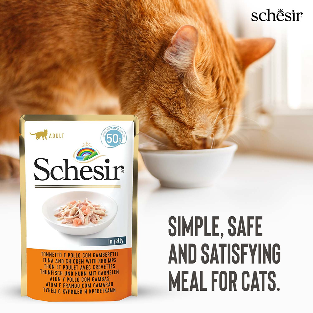 Schesir Tuna Chicken & Shrimp With Rice in Jelly Cat Wet Food image 5