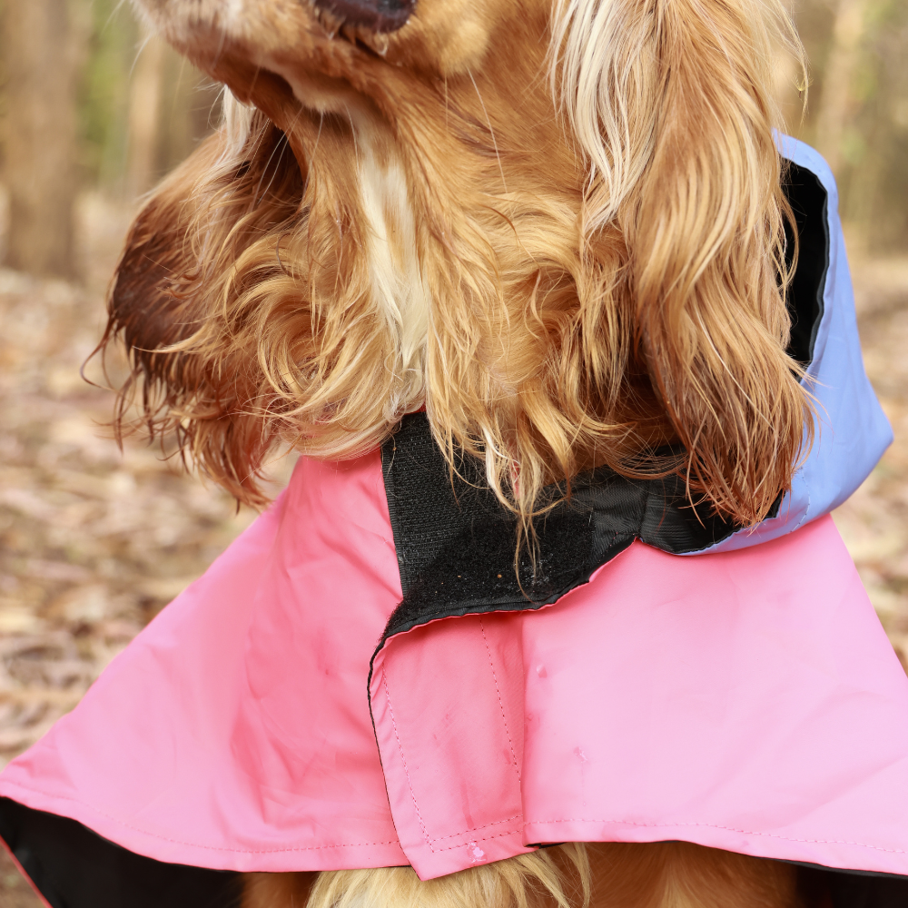 Pet Set Go Dual Colour Cape Style Raincoat for Dogs (Pink) image 5
