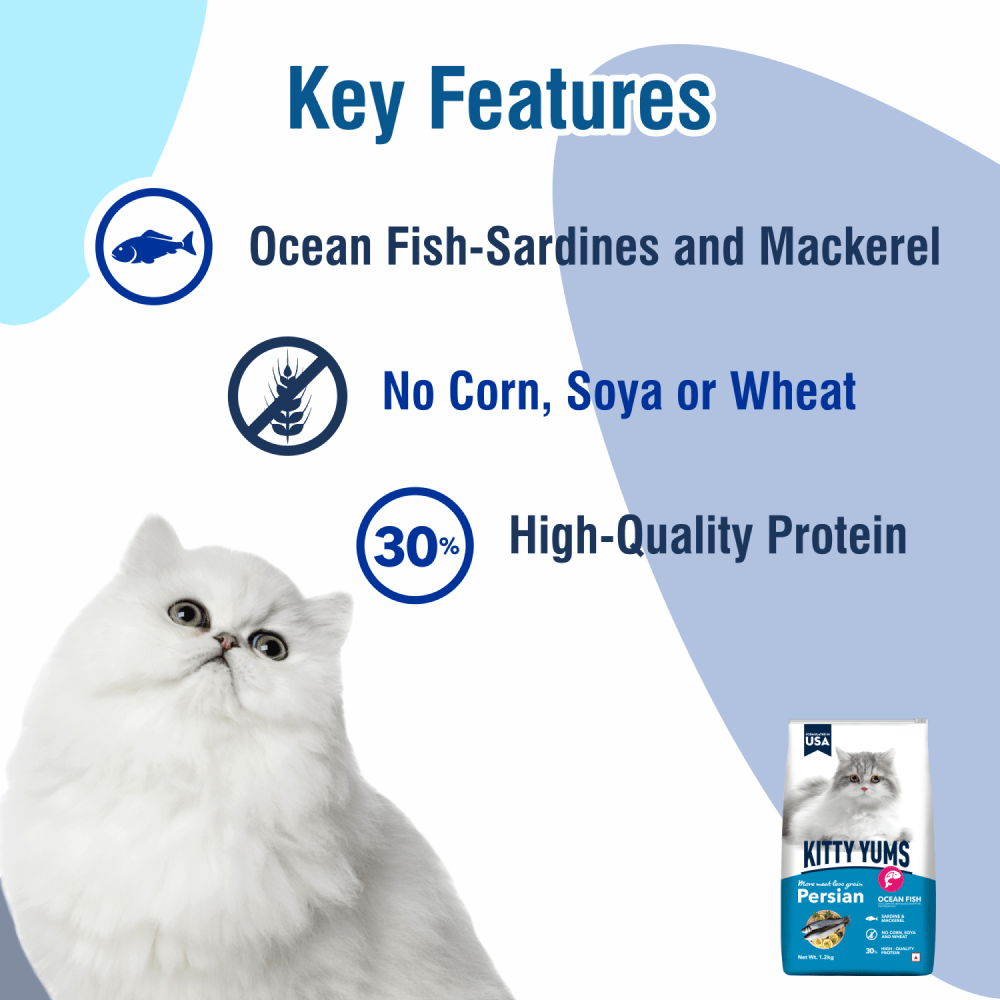 Kitty Yums Ocean Fish Persian Cat Dry Food image 4