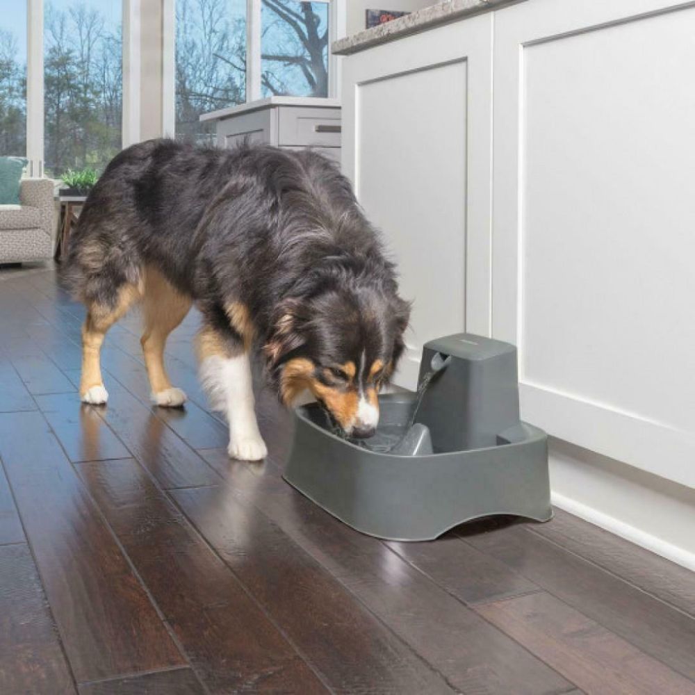 PetSafe Drinkwell Automatic Flowing Water Pet Fountain for Dogs and Cats image 5