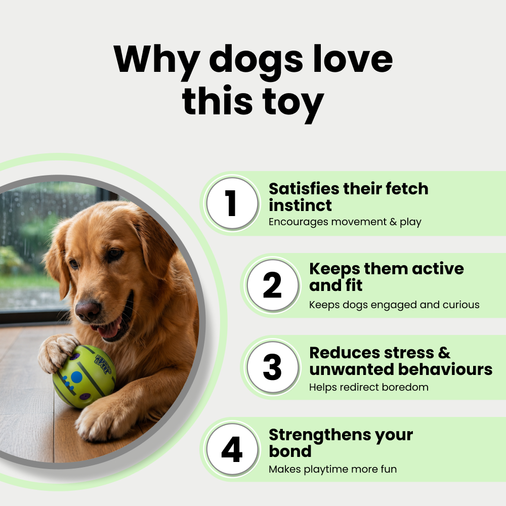 Skatrs Giggle Pet Sound Ball Toy for Dogs and Cats (Green) image 5