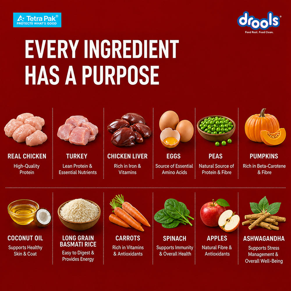 Drools Tetra Pack Real Chicken Turkey Dog Fresh Food image 3