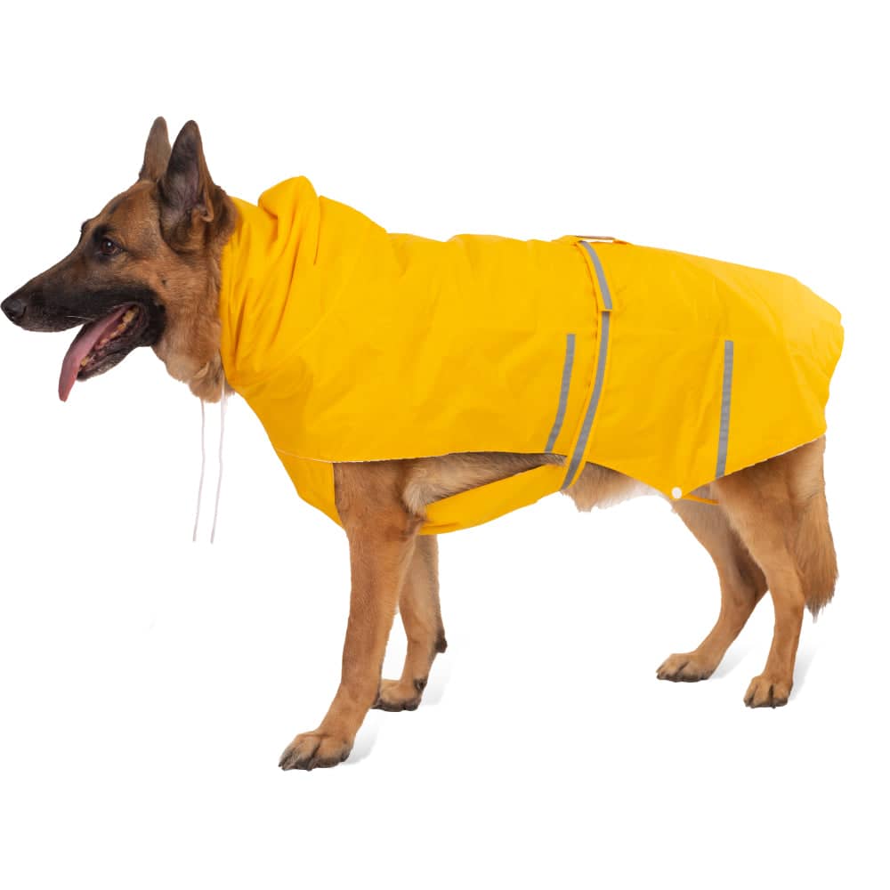 PetWale Reflective Raincoat for Dogs (Yellow) image 8