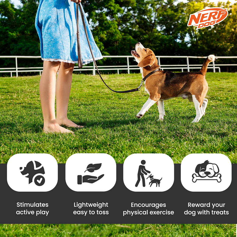 Nerf Dog Translucent Tire Flyer TPR Toy for Dogs (Blue) image 6