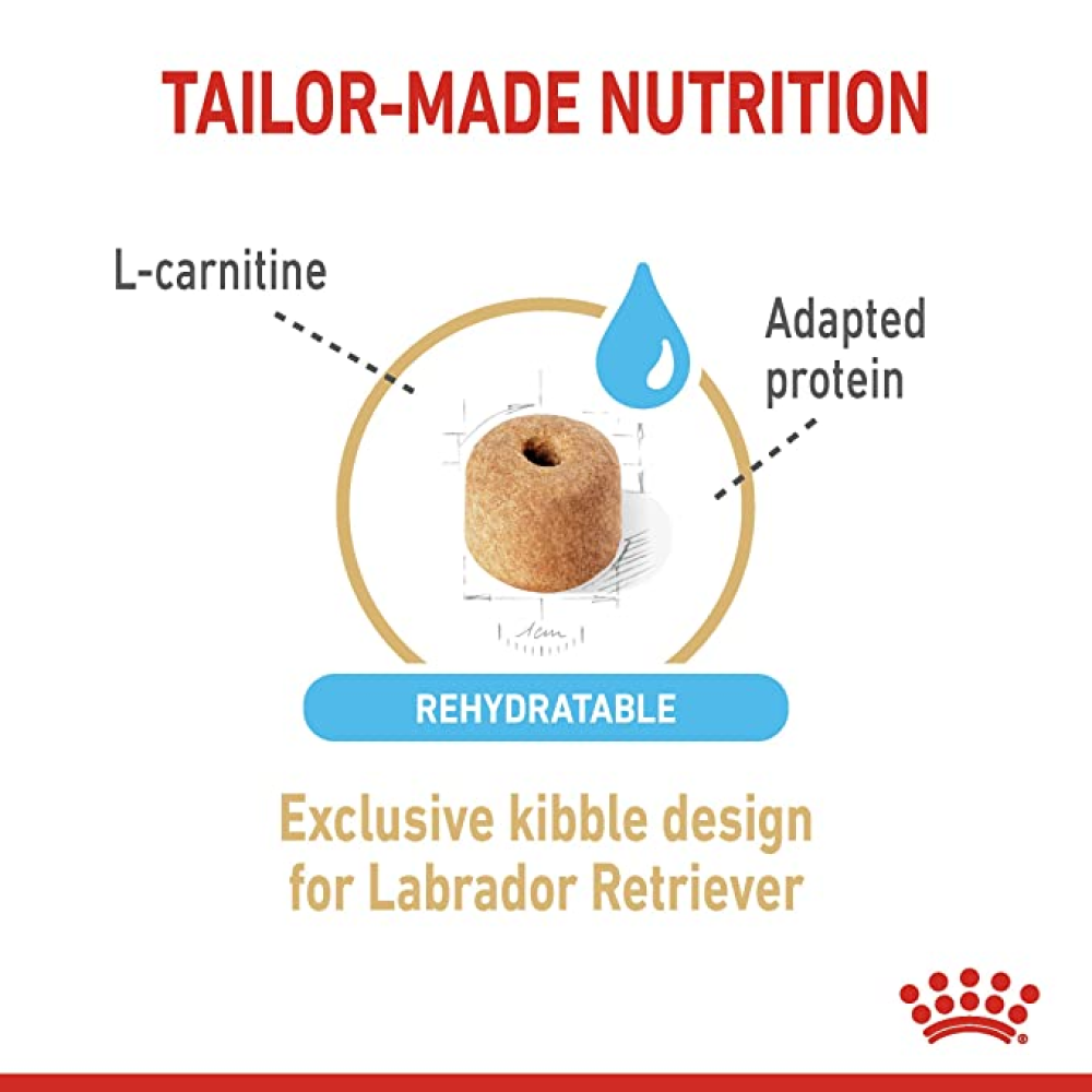 Royal Canin Labrador Retriever Adult Dog Dry Food for 5+ years of age image 3