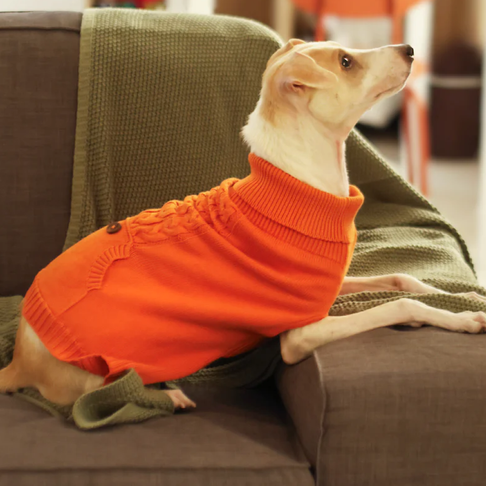 Pet Set Go Elsa's Sweater for Dogs (Orange) image 3