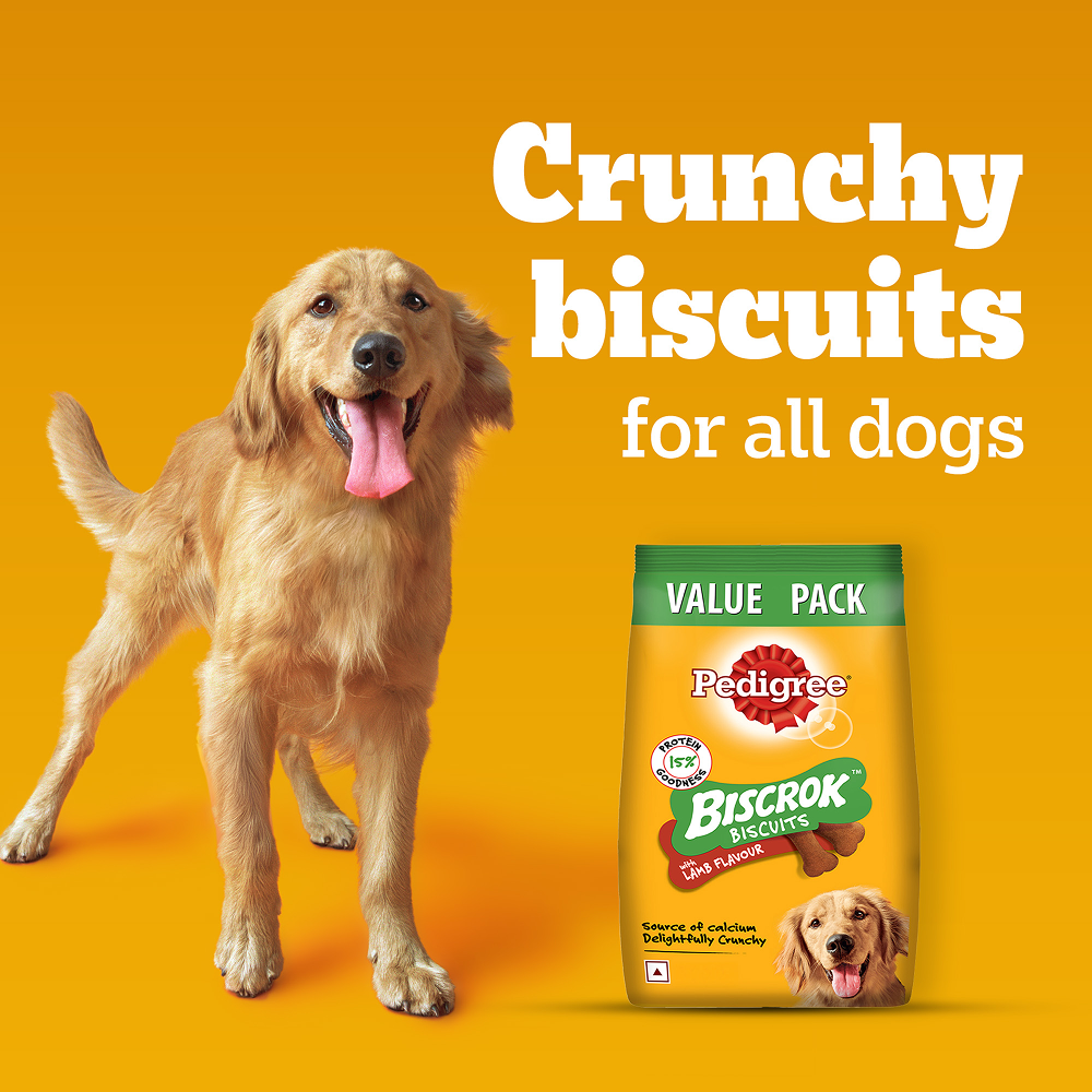 Pedigree Lamb Flavour Biscrok Biscuits Dog Treats (900g) image 10