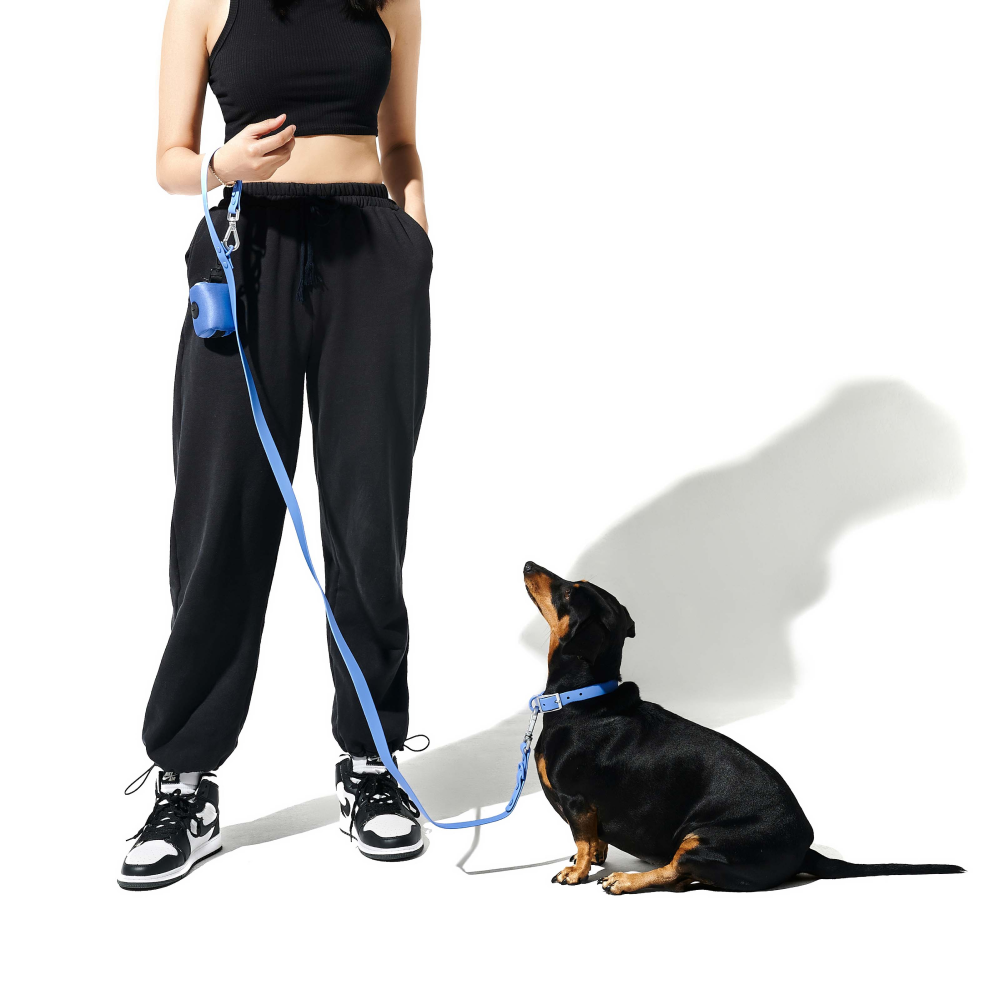 Furry & Co Weatherproof Leash for Dogs (Everest Blue) image 7
