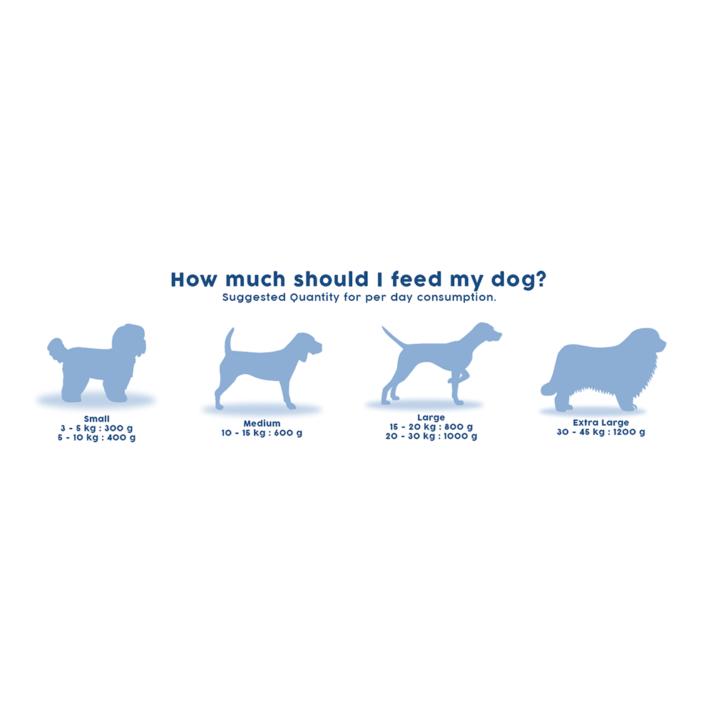 Benny's Bowl Clinical Nutrition for Renal Issues Dog Wet Food image 9
