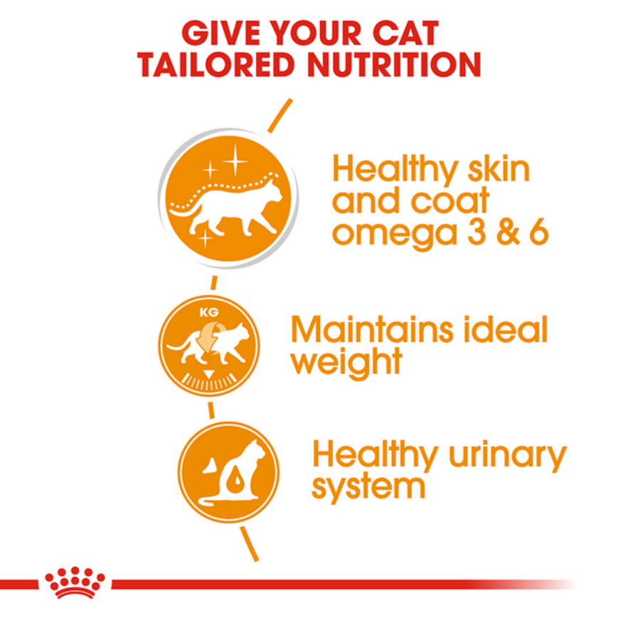 Royal Canin Intense Beauty Adult Gravy Cat Wet Food image 3