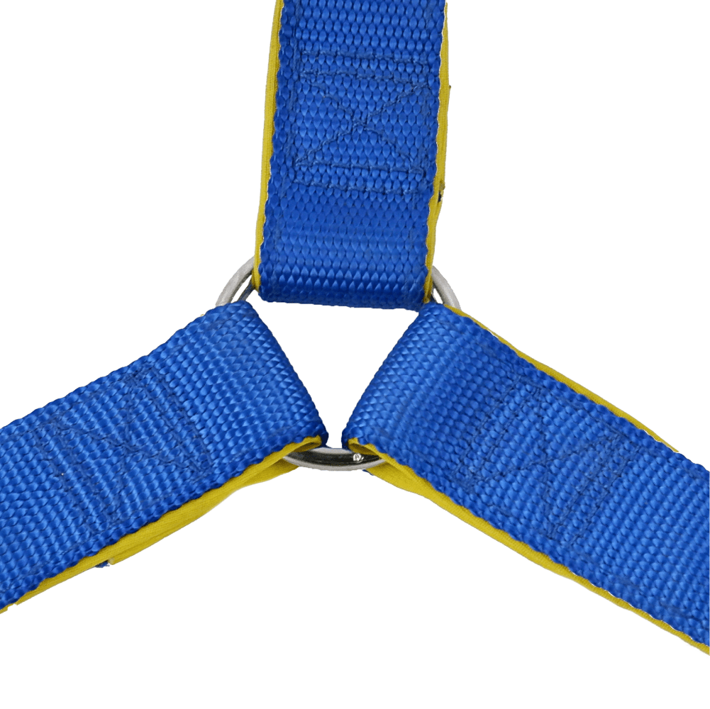 Basil Nylon Padded Adjustable Harness for Dogs (Blue) image 4