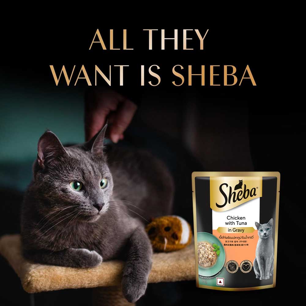 Sheba Chicken With Tuna In Gravy Rich Premium Adult Fine Cat Wet Food image 8
