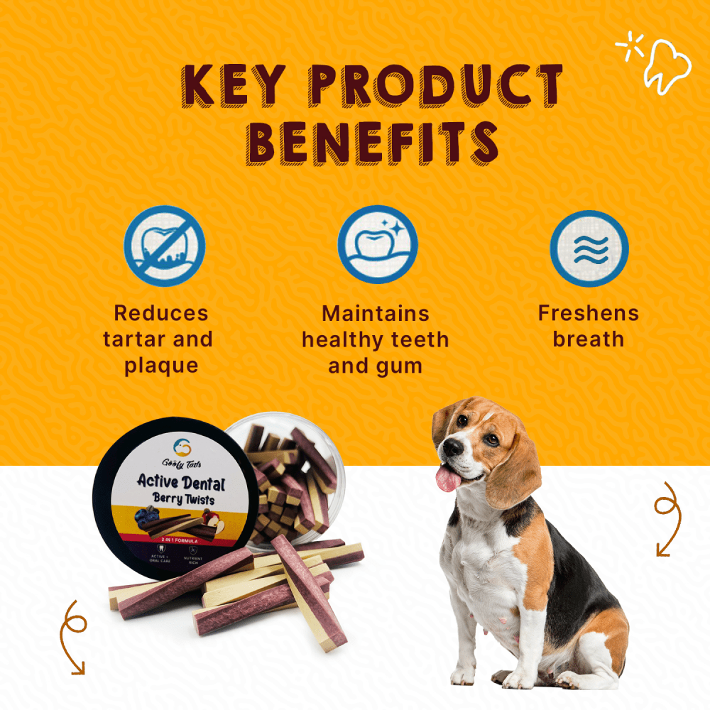 Goofy Tails Blueberry and Apple Active Dental Twists Dog Treats image 3