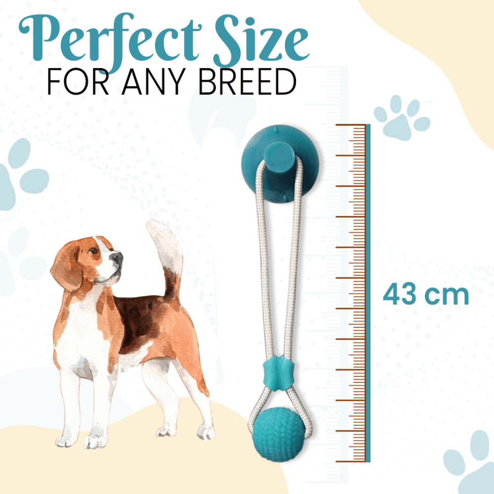 Basil Silicon Vacuum Cup with Rope & Ball Toy for Dogs and Cats | For Medium Chewers (Purple) image 2