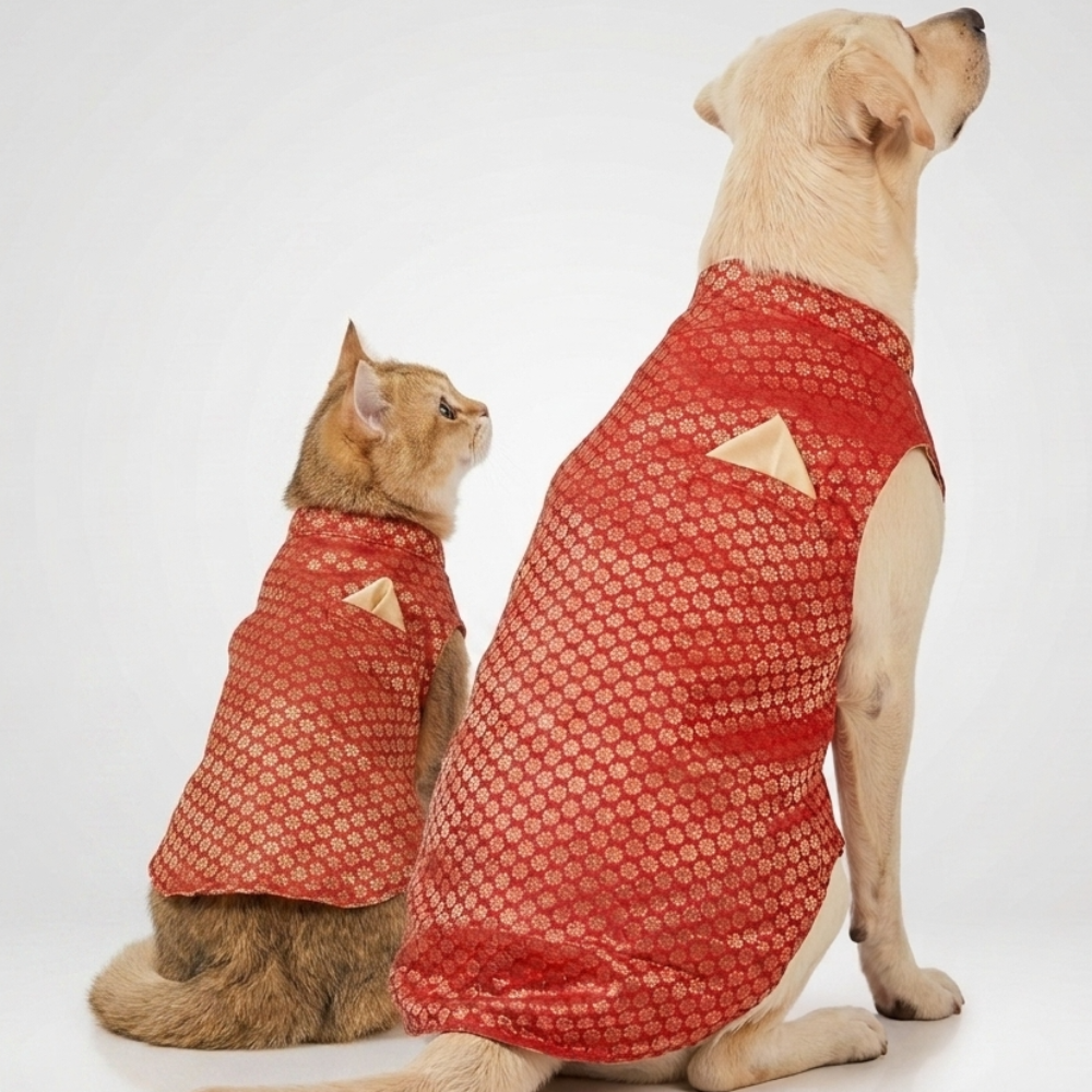 Skatrs Brocade Gold Printed Sherwani for Dogs and Cats (Red) image 4