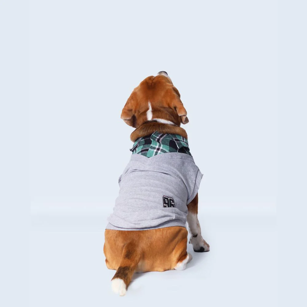 Pet Set Go Polo Knit Tshirt for Dogs (Grey) image 5