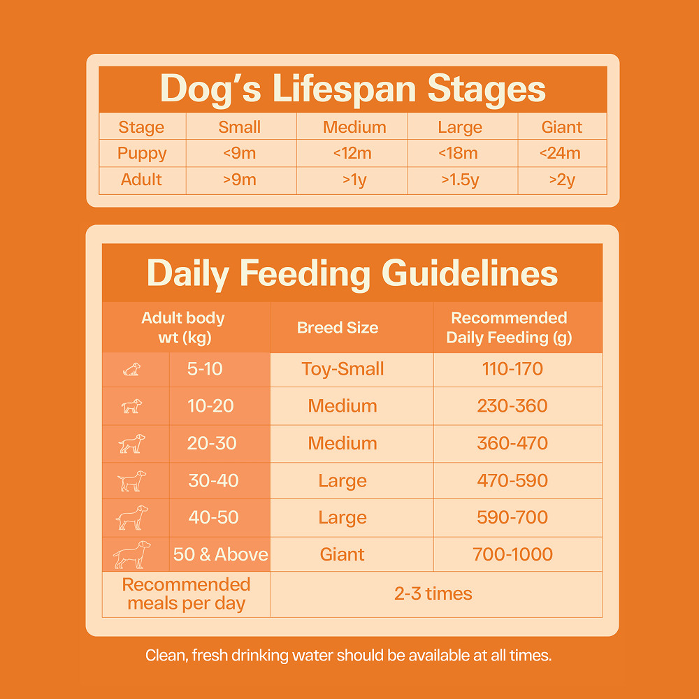 Avant Furst Chicken and Vegetable Adult Dog Dry Food image 2