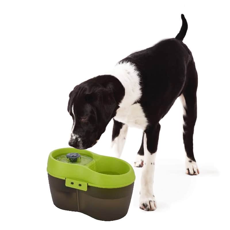 Goofy Tails Water Fountain Automatic Water Dispenser For Dogs (2L) image 6