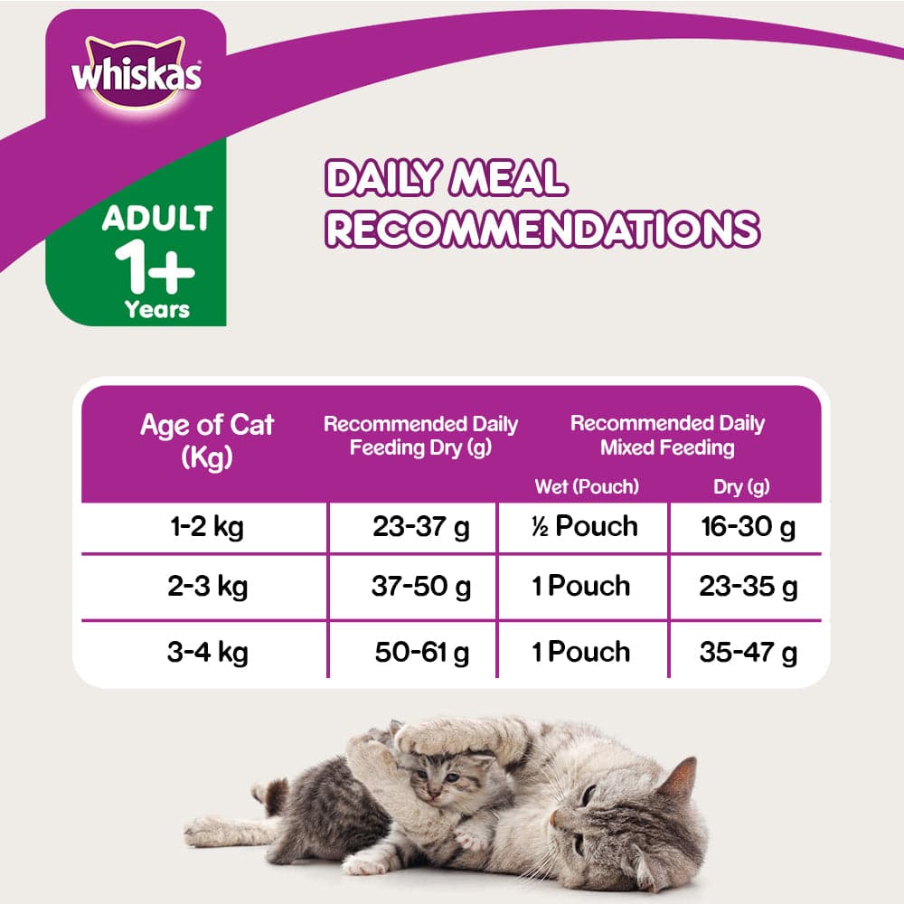 Whiskas Tuna in Jelly Meal Adult Cat Wet Food and Tuna Flavour Adult Cat Dry Food Combo image 3