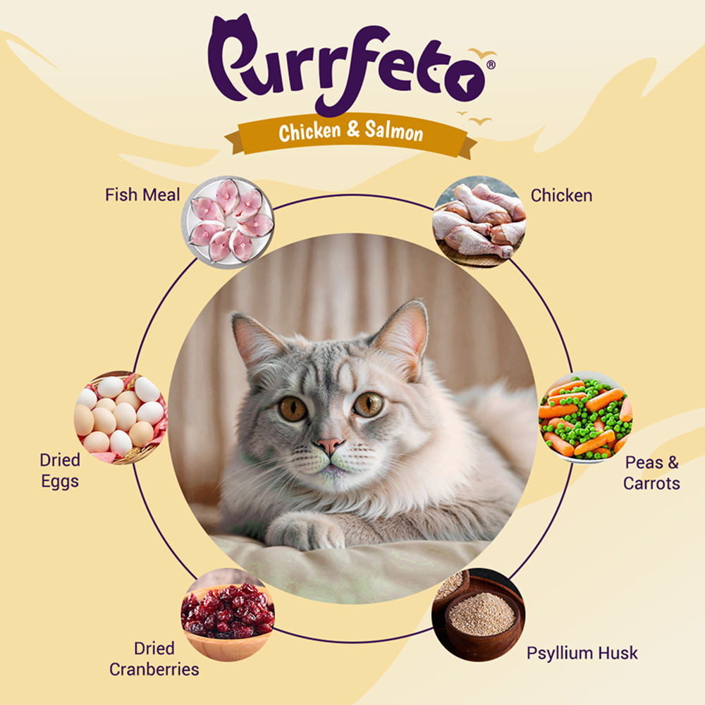Purrfeto Chicken and Salmon Adult Cat Dry Food image 3