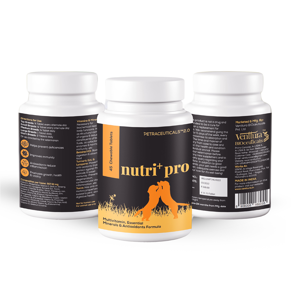 Venttura Nutri Plus Pro Multi Vitamin Chewable Tablets for Dogs image 8