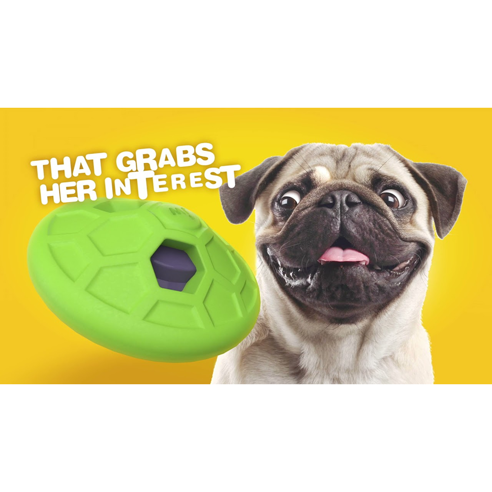 JW Natural Sound Rumbler Toy for Dogs (Green) image 4