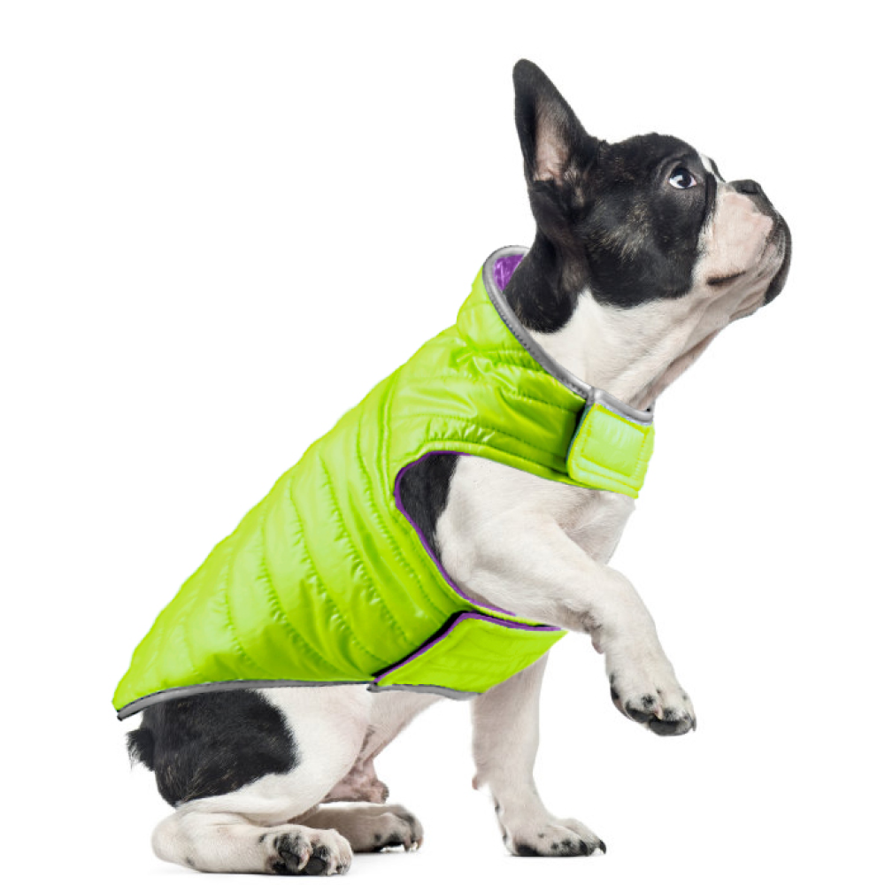Talking Dog Club Double Trouble Reversible Jackets for Dogs (Purple/Neon Green) image 6