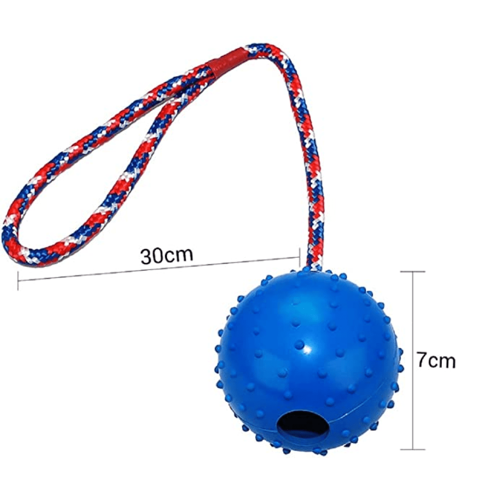 Emily Pets Rubber Ball with Rope Chew Toy for Dogs (Orange) image 4