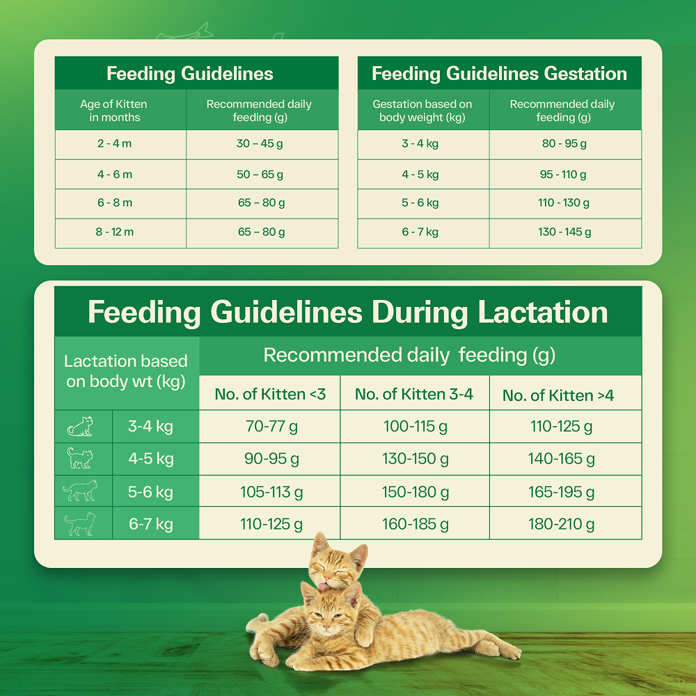 Avant Furst Ocean Fish Flavour Kitten Cat Dry Food image 7