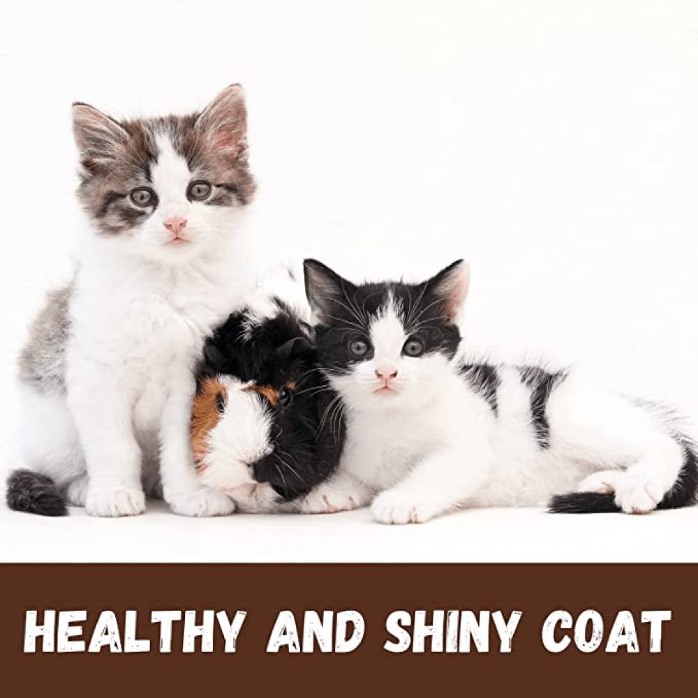 Bio Groom Purrfect White Conditioning Shampoo for Cats image 5