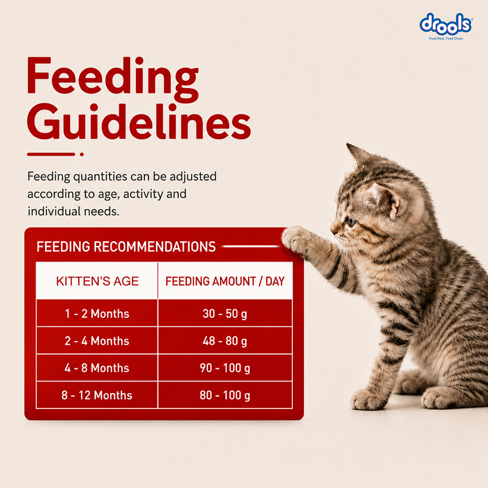 Drools Mackerel Kitten (1 to 12 Months) Cat Dry Food image 8